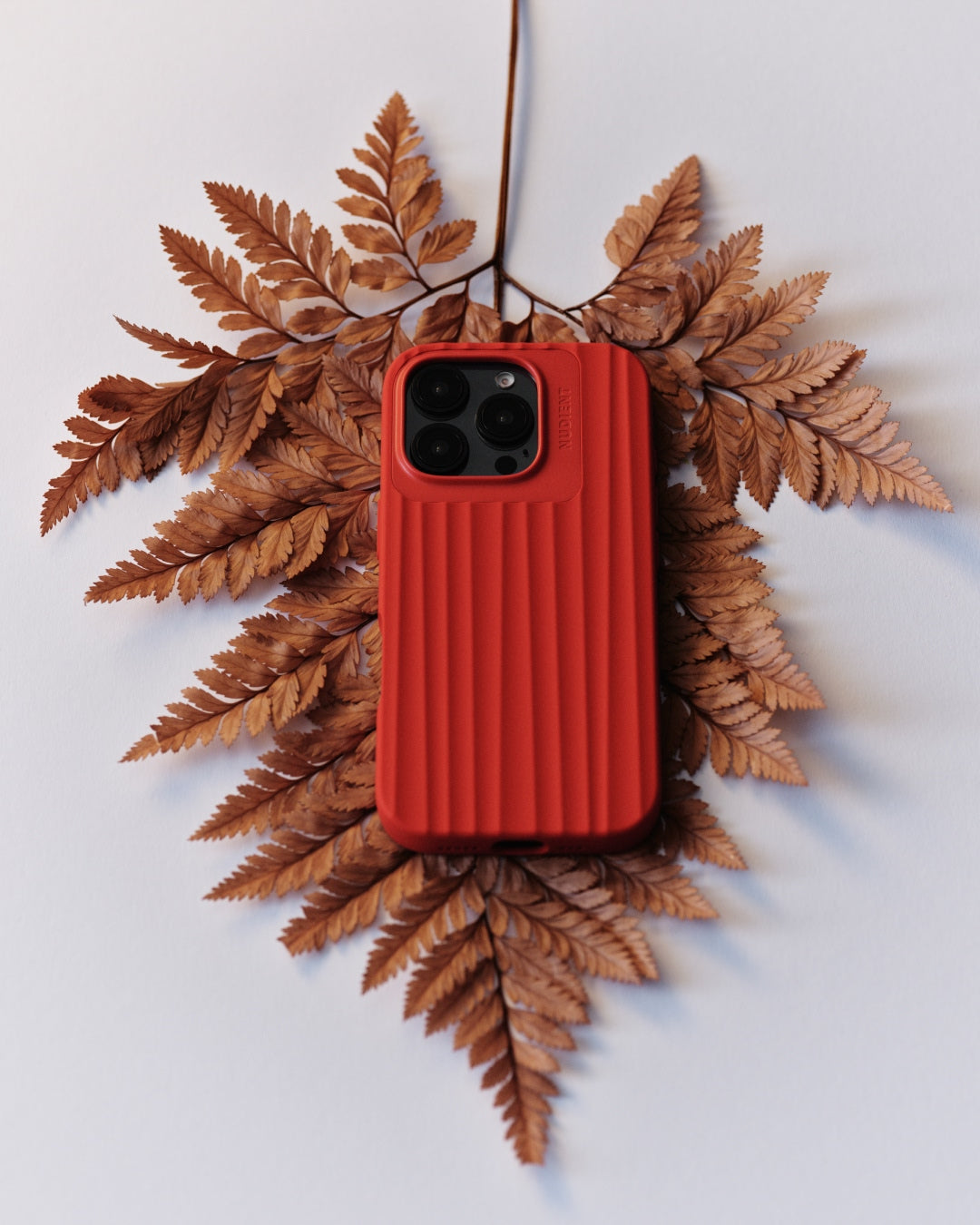 Bold Case