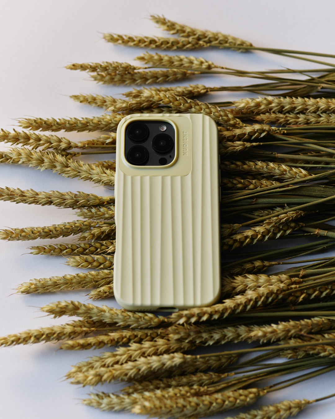 Bold Case
